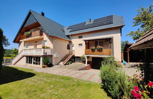 Heviz House | Viola House