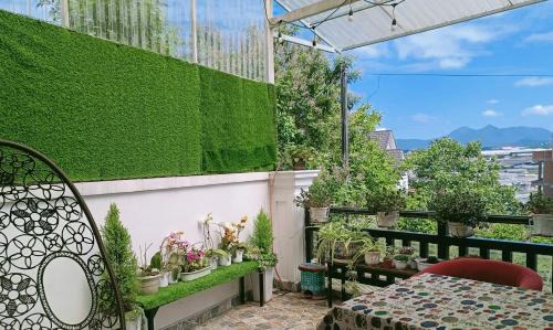 Da Lat House | Violet villa and Coffee