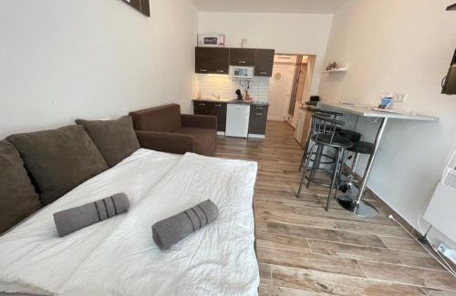 Balatonbereny Apartment | Violett Apartman