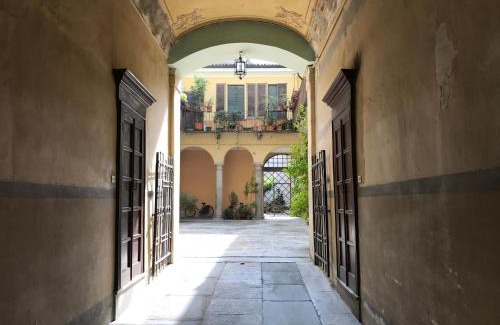 Cremona House | Violino azul