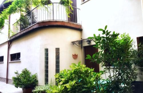 Cremona House | Violino azul