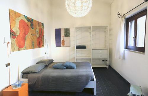 Cremona House | Violino azul