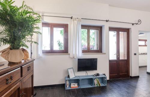 Cremona House | Violino azul