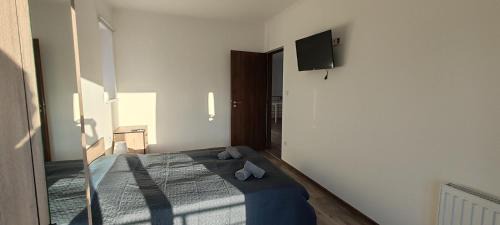 Balatonszarszo House | Virág Vendégház Balatonszárszó
