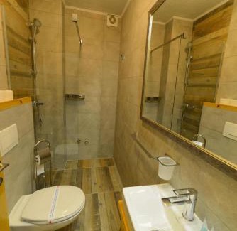 Krusevac Hotel | VIR Villa