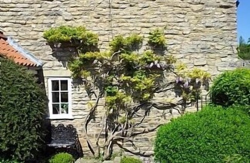 Thornton Dale Cottage | Virginia Cottage “ The Little Gem “ in NYMoors Wi Fi Dog Friendly Hot Tub