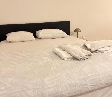 Sint-Jans-Molenbeek Apartment | visit Brussels city
