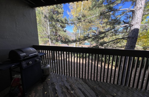 Flagstaff Condo | Visit Flagstaff in Oct.|1BDR Condo |Enjoy LVT Local Discounts!