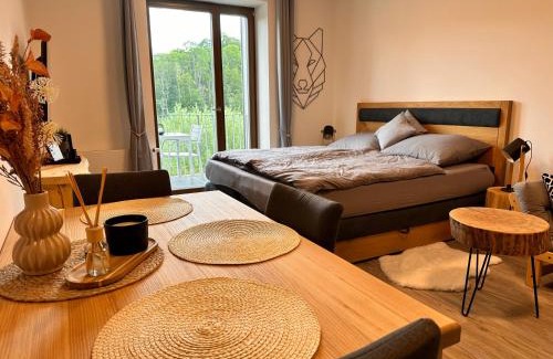 Rokytnice nad Jizerou Apartment | Vista 14