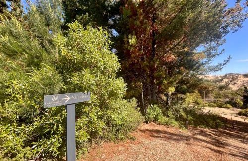 El Tabo Apartment | Vista al mar en Las Cruces