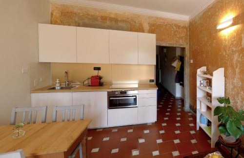 Santo Spirito Apartment | Vista su giardini storici in Oltrarno