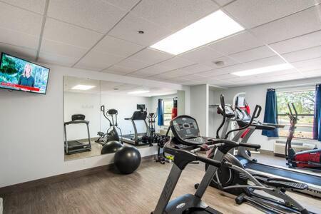 Sierra Vista Apartment | Vistas 201- Modern Sierra Vista 1bd great location