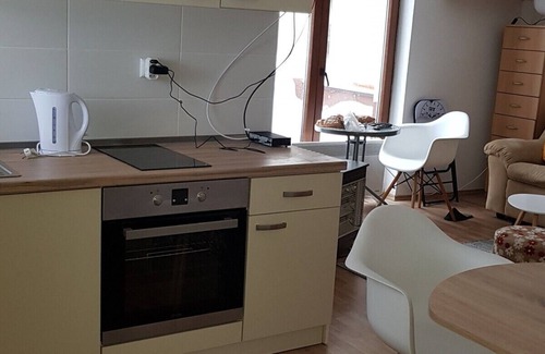 Babanovac Apartment | Vlašić Apartments - Studio Apartment (A1)