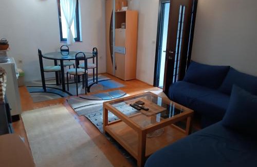 Babanovac Apartment | Vlasic Relax