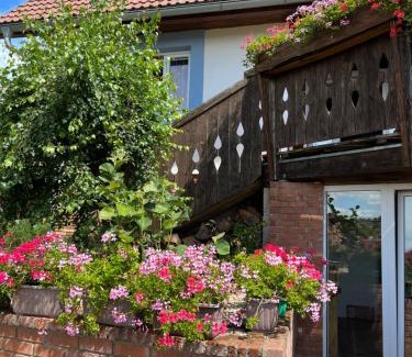 Vojnuv Mestec House | Vojnův Městec Dům s vůní dřeva
