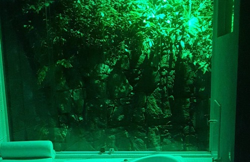 Cotia Cottage | Vrbo Property