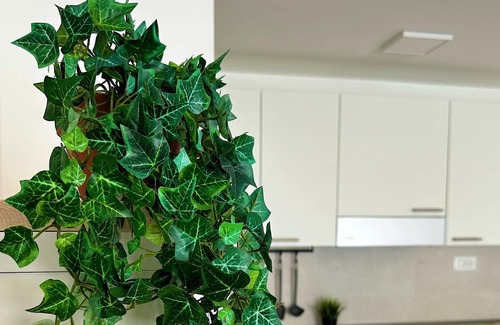 Budrio Apartment | Vrbo Property