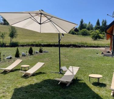 Bajina Basta House | Vulovica konak