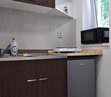 Jesenik Apartment | Vybavená garsonka v cihlovém domě v centru