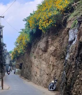 Aizawl House | W-26 Dawrpui