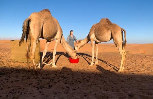 Bidiya Other | wahiba Bedouiens privae Camp