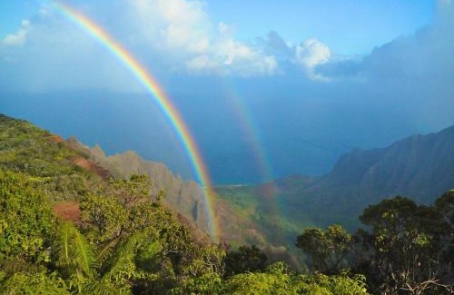 Wailua Apartment | Waipouli Beach Resort Gorgeous Luxury Ocean View Condo! Sleeps 8!