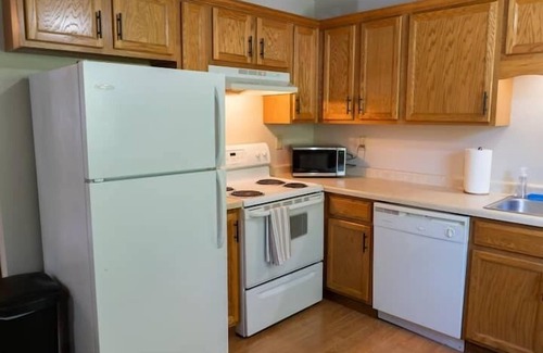 Fargo Apartment | Walk to Downtown I Queen I Self-Checkin I Garage