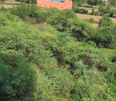 Khattalwada Apartment | Walk to Temples