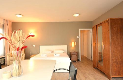 Oostduinkerke-Bad Apartment | Walk to the beach