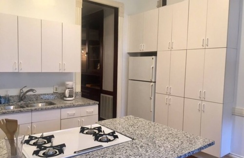 Lakeview Apartment | Walk to Wrigley/Boystown -Chicago 3BR/2Ba Duplex-paid parking available!
