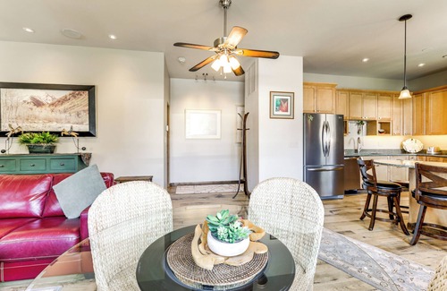 Carbondale Apartment | Walkable Apt in Carbondale: 'Luxury Artist's Loft'