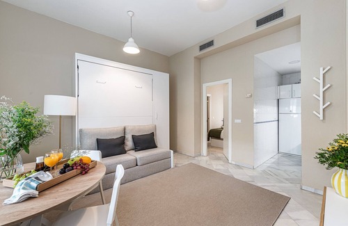 Encarnacion-Regina Apartment | Waou Seville Center II