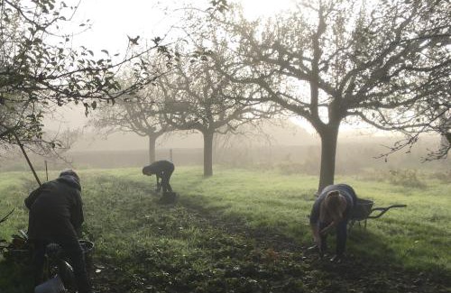 Lent House | Warmoes tuinderswoning