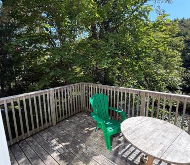 Waterford Valley Apartment | Waterfordbridge Apartments - 1 Bedroom Lower