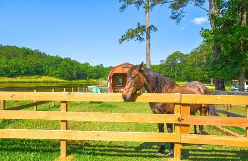 Benson House | Waterfront Benson Retreat Rescue Farm with a Lake!