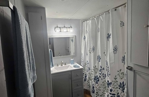 Negreet Cabin | Waterfront Cabin on Toledo Bend Lake - minutes from the water.