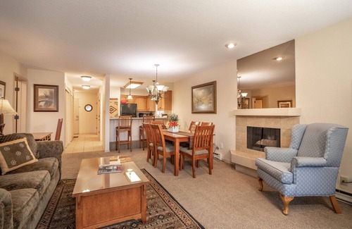 Bigfork Condo | Waterfront condo w/A/C & access to Flathead Lake | Marina Cay Bigfork Waterfront Condo