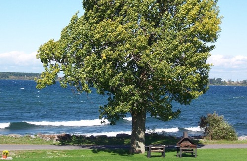Cape Vincent Cabin | Waterfront Cottage, Cape Vincent, Tibbetts Point, Great Fun For The Whole Family