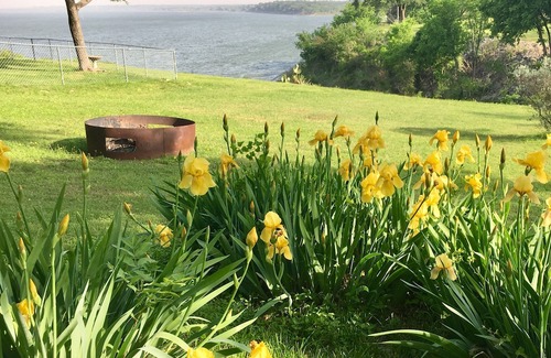 Lake Whitney Cabin | Waterfront Lake Whitney Cottage with Great Views & Water Access!