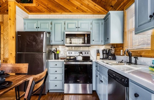 Gatlinburg - Pigeon Forge Cabin | Waterfront Retreat Overlooking Pond-6 mi 2PKWY Private Dock Arcade Record Player