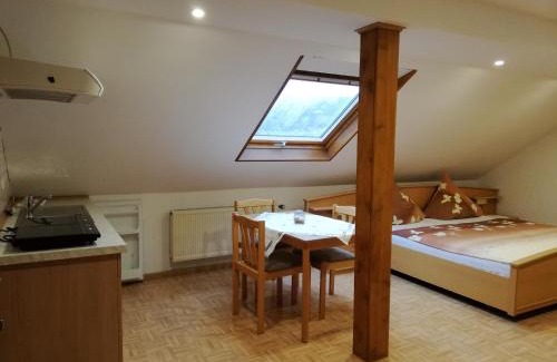Trittenheim Apartment | Wein-und Gästehaus Alfons Bollig