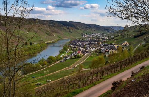 Reil Hotel | Weinhaus Burg-Schneider