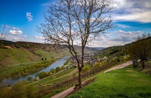 Reil Hotel | Weinhaus Burg-Schneider