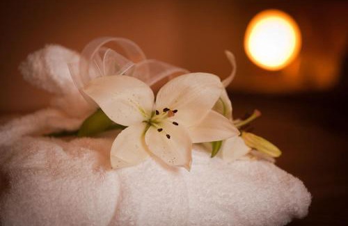 Decin Hotel | Wellness Hotel Zlatá Lípa