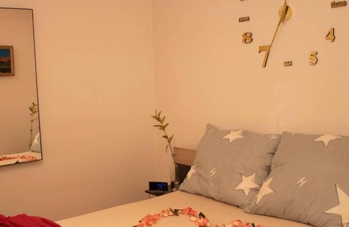 Prague 3 Apartment | Welness Praha Infrasauna virivka + pokoj