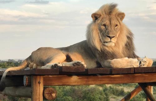 Theunissen Cabin | Weltevreden Game Lodge