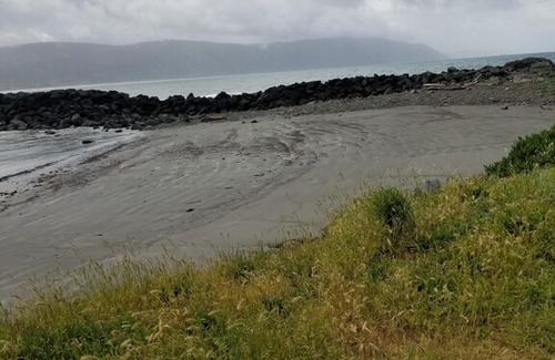 Bertsch-Oceanview Apartment | Whale Room in Crescent City