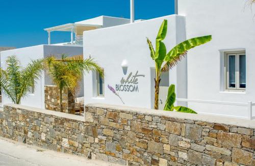 Paros Hotel | White Blossom