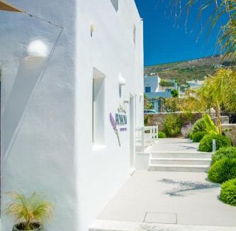 Paros Hotel | White Blossom