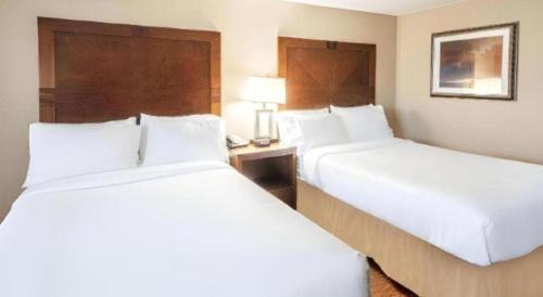 Frisco Hotel | White Peak Hotel – Frisco By IHG